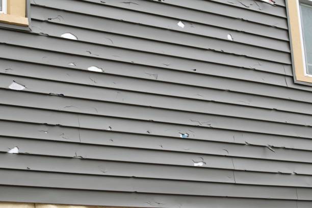 Best Yard Waste Removal  in Beaver, PA